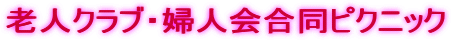 VlNuEwlsNjbN
